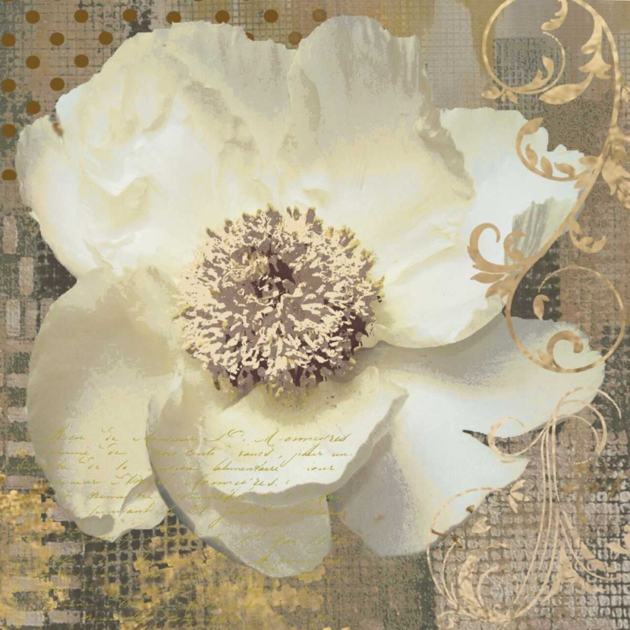 White Poppy Shimmer II Poster Print by Nan - Item # VARPDX15400